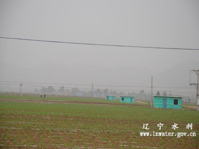 建平县2013年节水滴灌工程全面完成并通过省市级验收