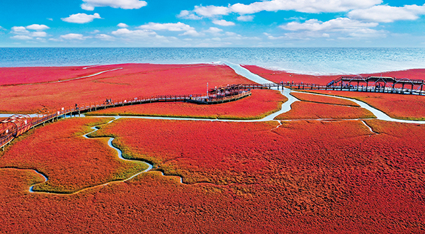 三河共治-水清城兴