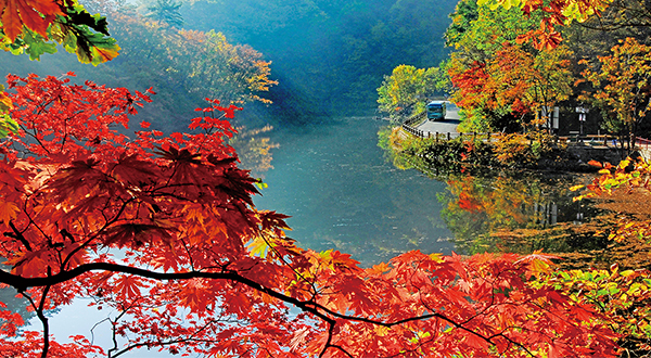 看这座水库如何破解 “泥沙魔咒”