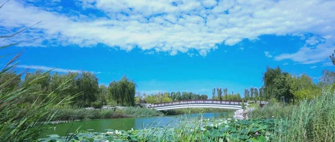 藏在城市里的“雨水银行”，你注意过吗？