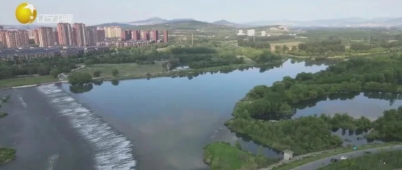 媒体聚焦｜水利强基护春耕，智慧灌溉保粮丰