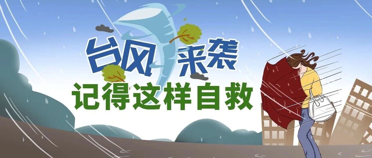 水利科普｜台风来袭 记得这样自救